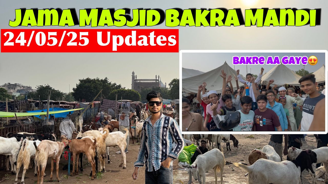Jama Masjid Bakra Mandi 2025 Latest Update |Bakra Mandi Delhi | 2025 Jama Masjid Bakra Mandi