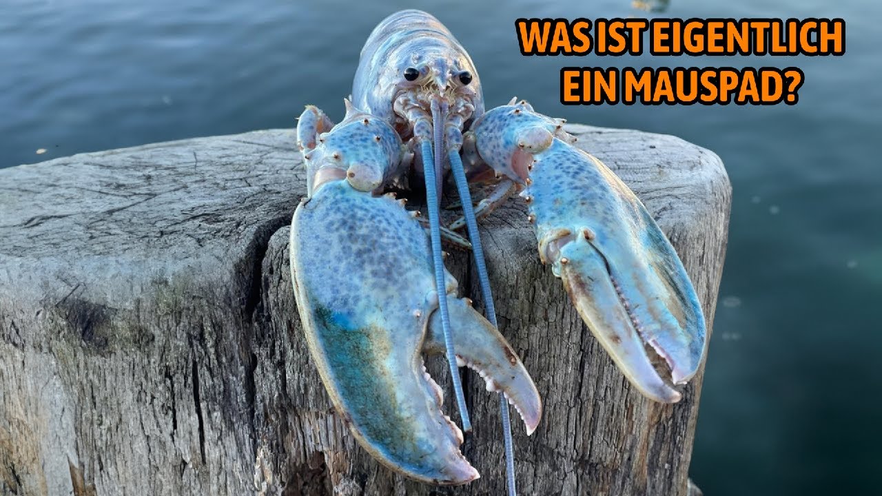 Der Blinde möge unser Anführer sein