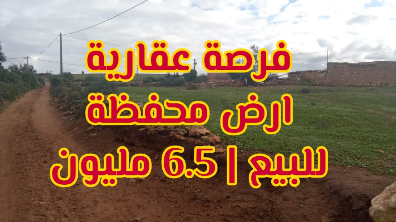 عقار للبيع بالمغرب: أرض محفظة مناسبة للسكن أو الاستثمار | الجديدة