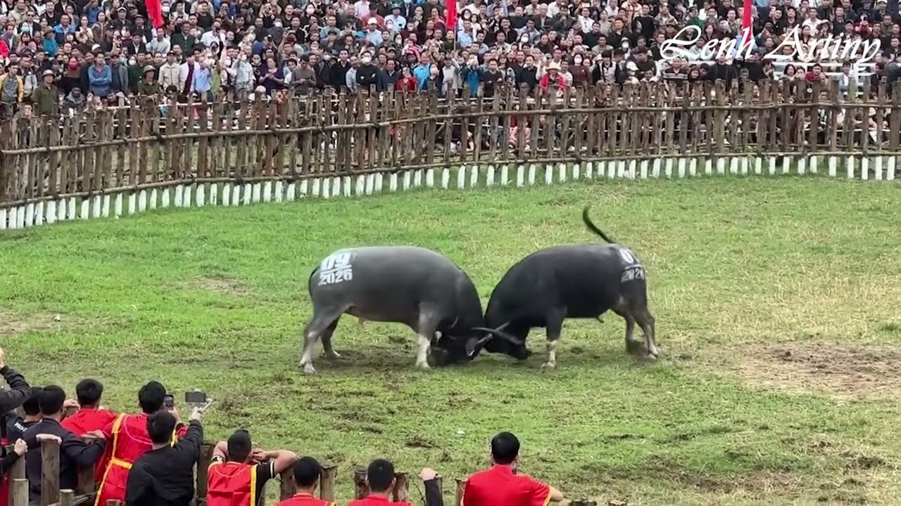 Số 410: 09 và 01 Hải Lựu.