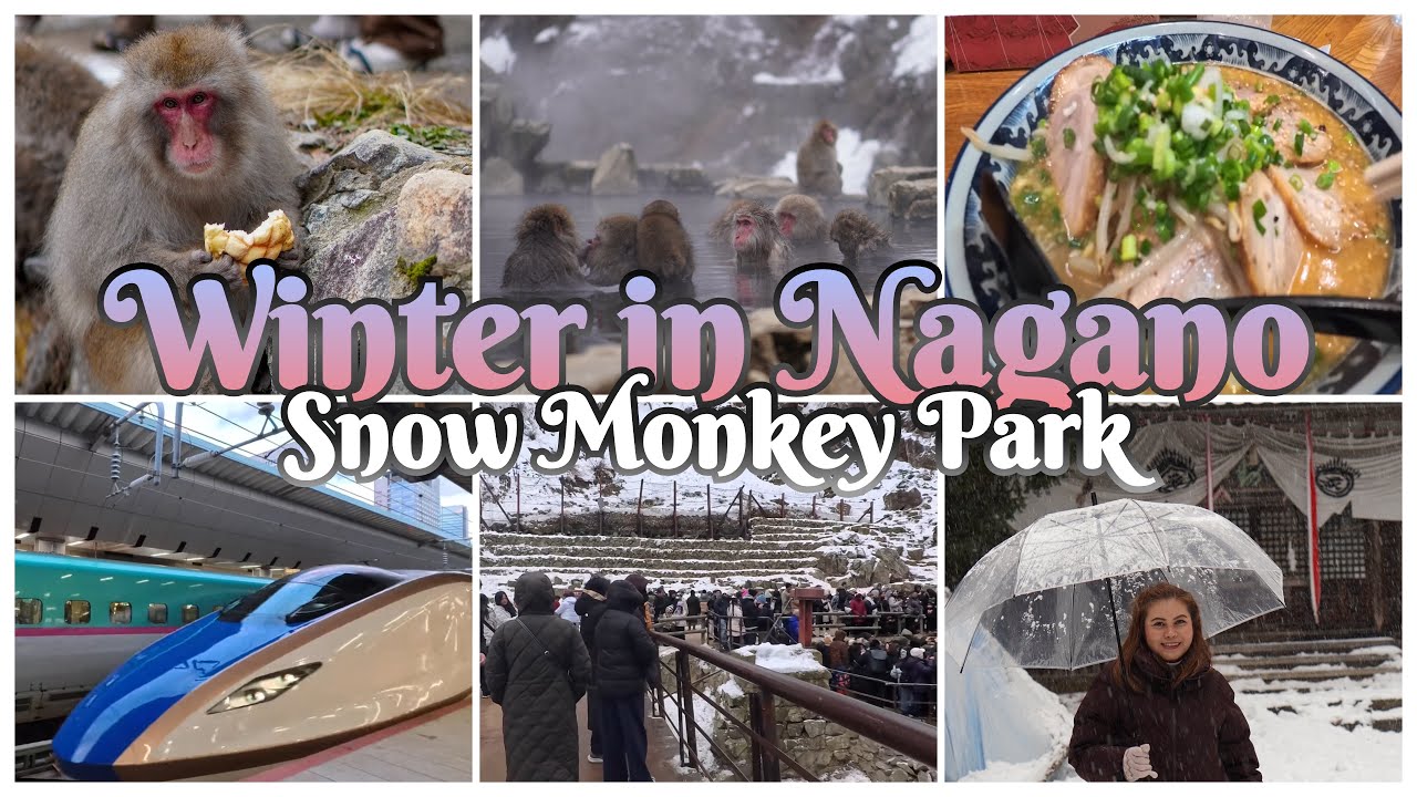 POV: Tokyo to Nagano 🇯🇵 | Day 1 of 3 – Shinkansen Journey to the Snow Monkey Park