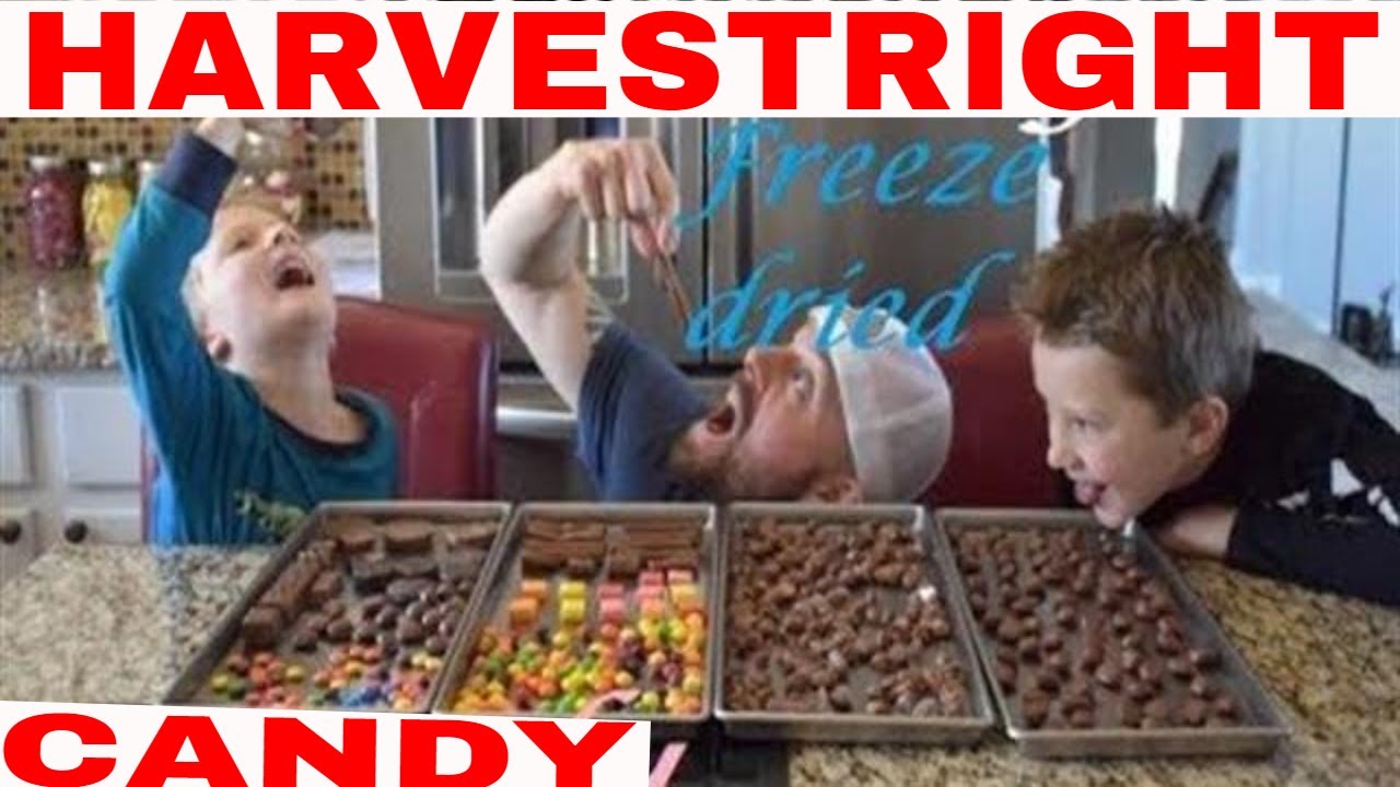 🍬FREEZE DRIED CANDY🍬 Milk Duds, Starburst, Skittles #freezedriedskittles