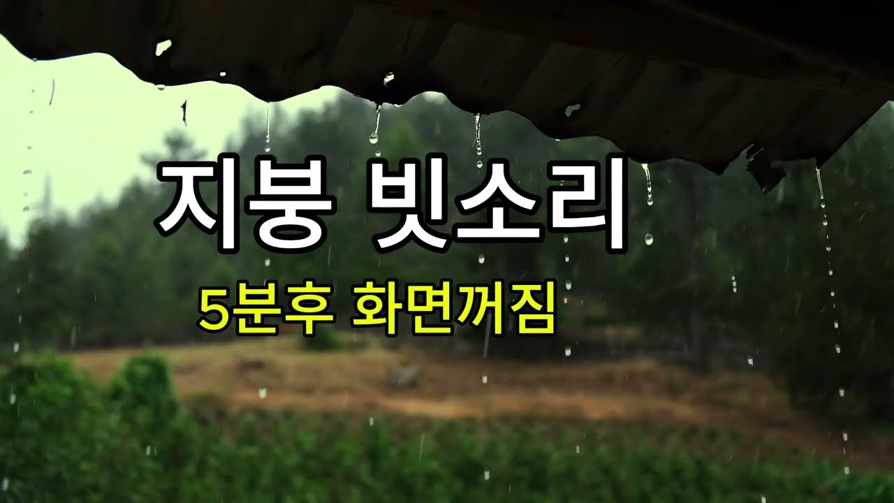 가을 지붕 위에서 떨어지는 빗소리/ ASMR 3시간/ 5분후 화면꺼짐/ the sound of rain