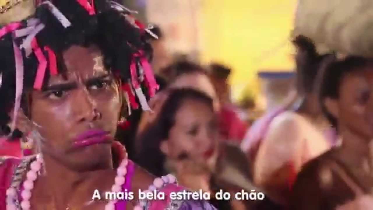 Estrela do ch&atilde;o - Boi Pirilampo do Maranh&atilde;o