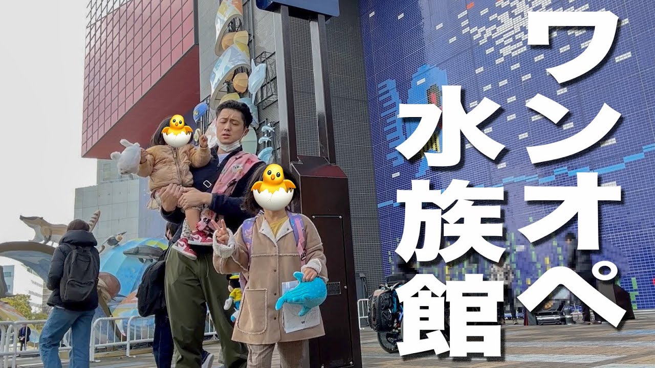 実家から1週間ぶりに帰ってきた5歳と3歳の娘を連れて腰が砕けそうになりながら海遊館楽しんできた！