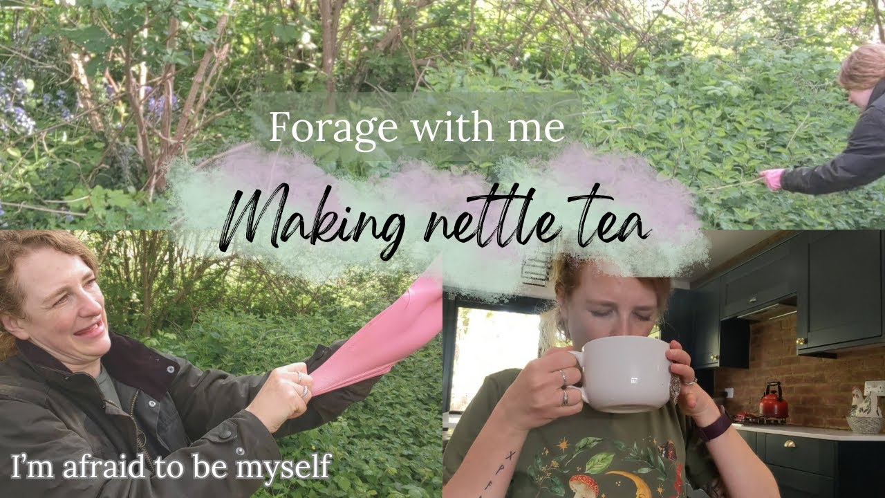 Foraging in the Forest | The lazy way to make stinging nettle tea