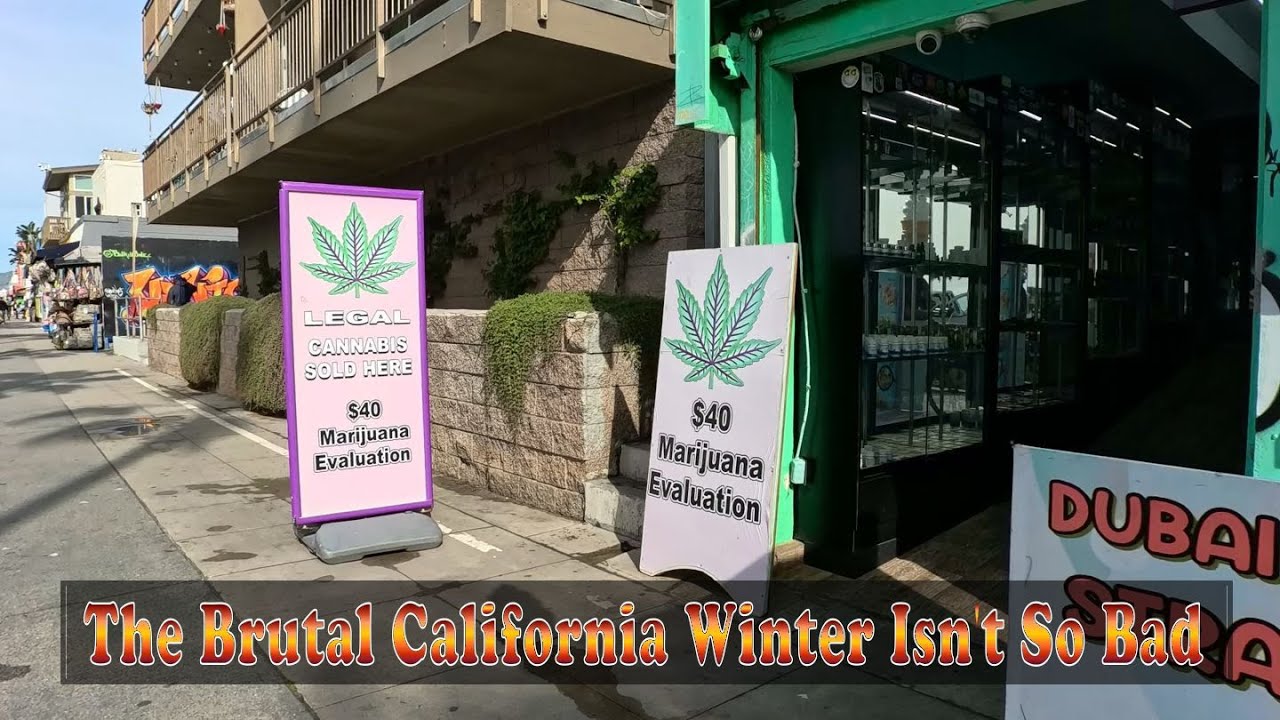 Brutal Winter Hump Day on Venice Beach 1/28/2026