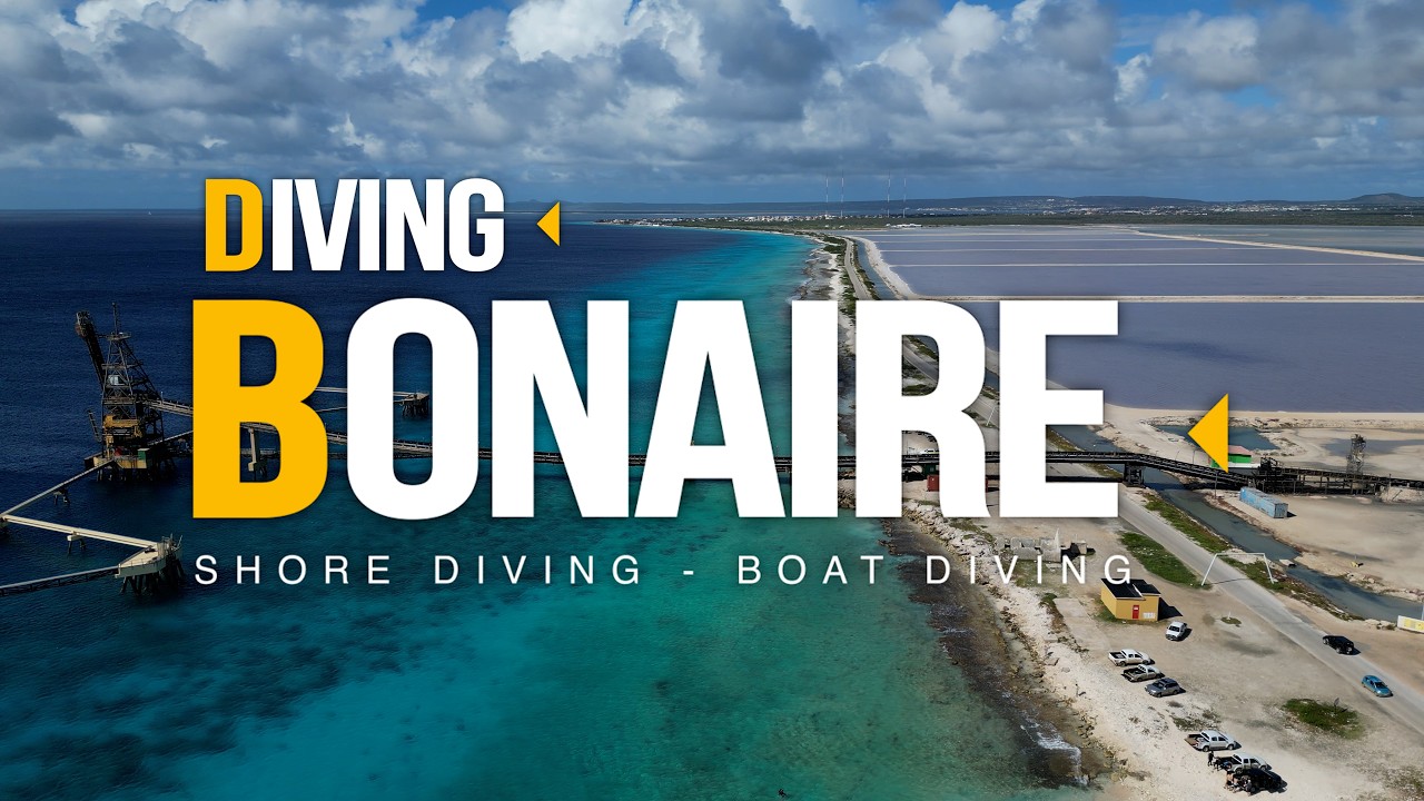 Diving in Bonaire, Klein Bonaire, Shore Diving, The Salt Pier, and the Coral Reef Walls.