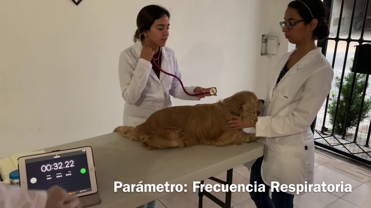 Parámetros Fisiológicos-FMVZ-UANL