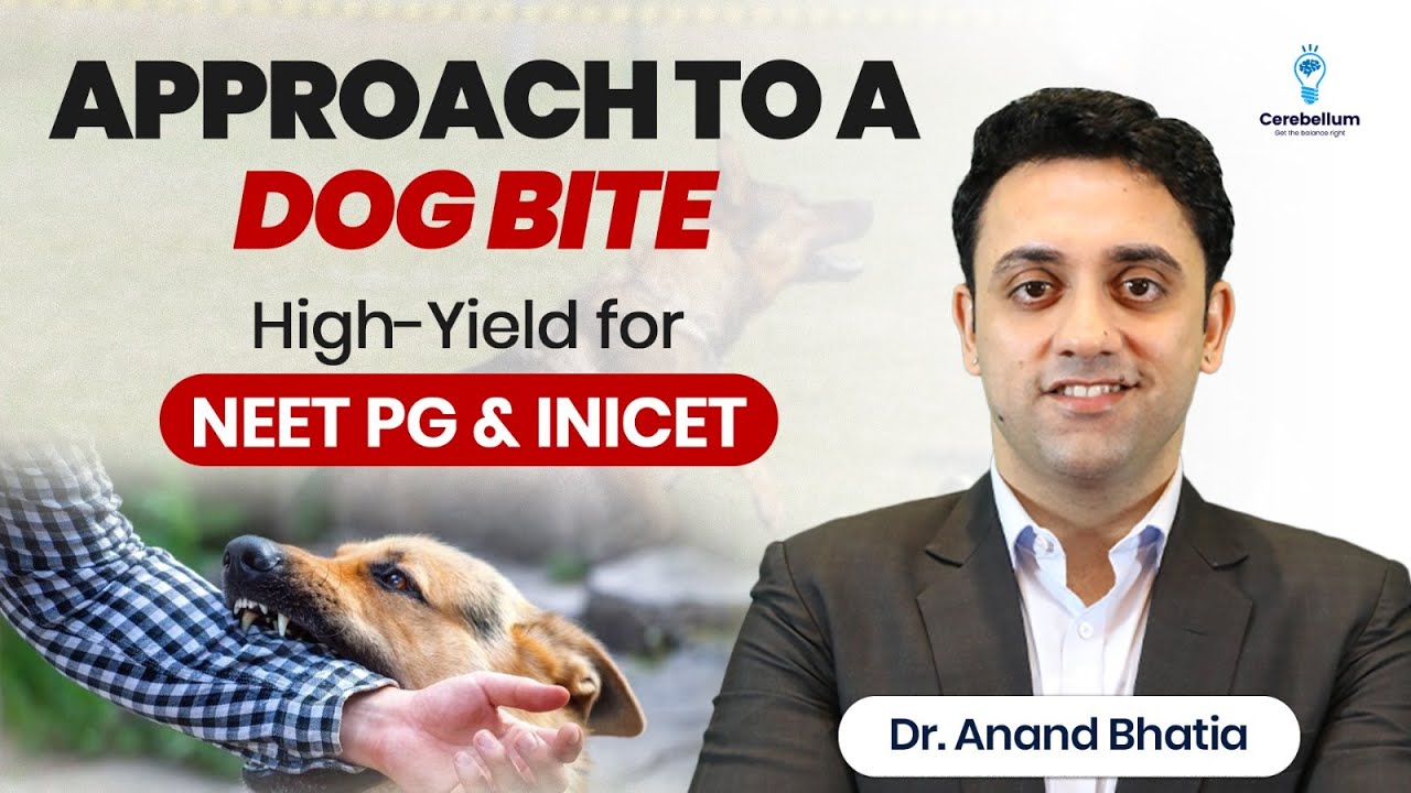 Approach to Dog Bite Explained in 5 Minutes | Must-Know for NEET PG & INI-CET! Dr. Anand Bhatia