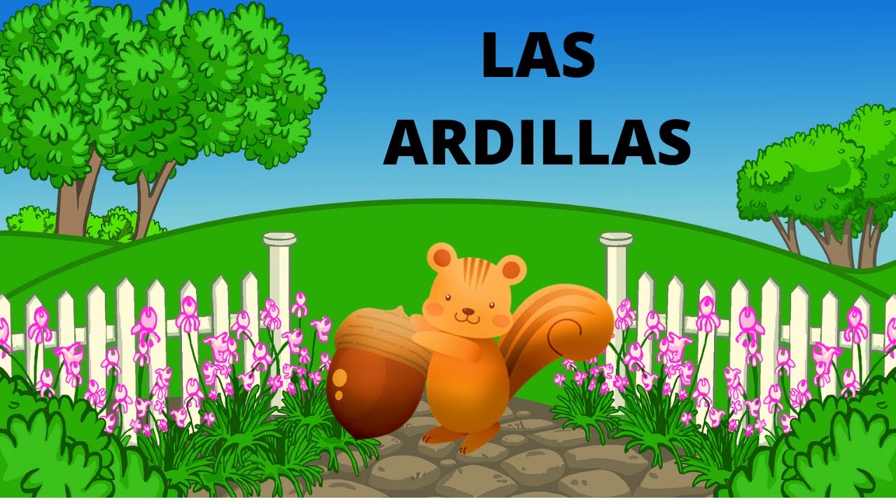 LAS ARDILLAS PARA NIÑOS/ TODO SOBRE LAS ARDILLAS/ LAS ARDILLAS / EN ESPAÑOL