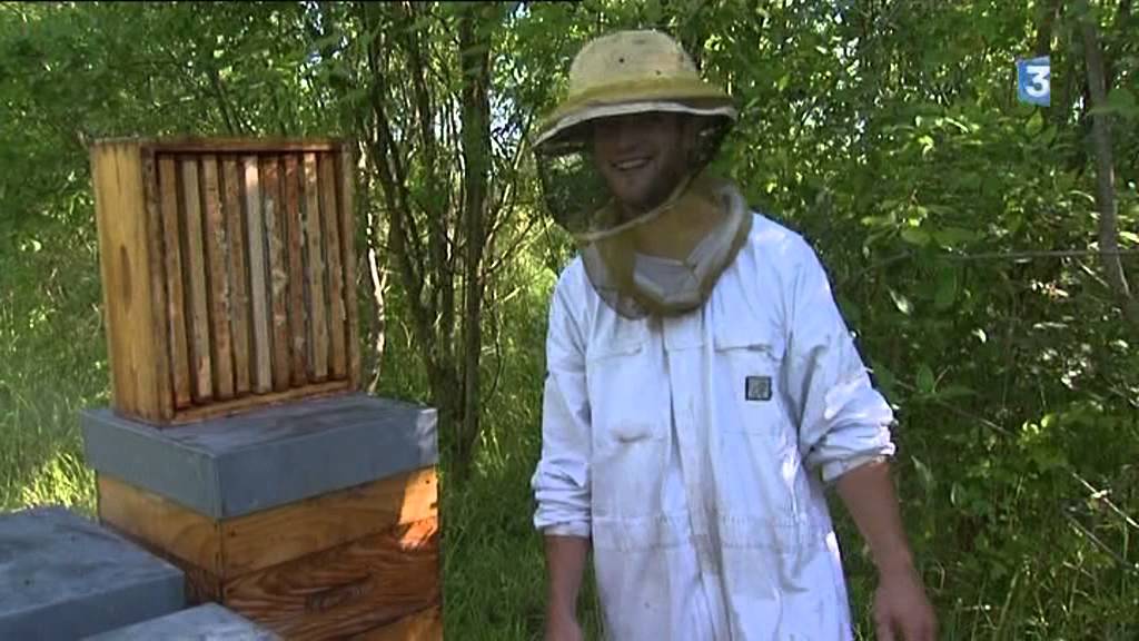 Miel de Tilleul : une récolte 2013 exceptionnelle en Picardie