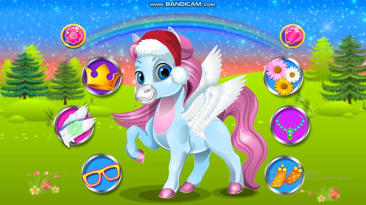 Pony salon