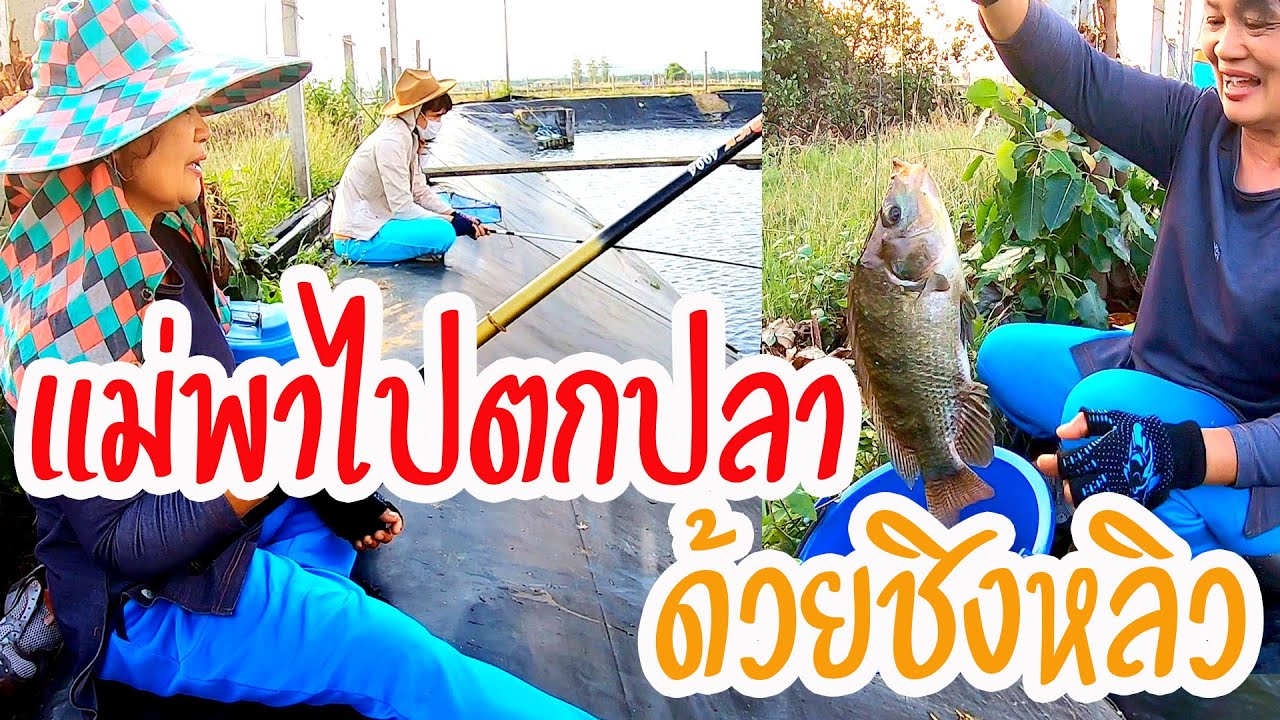 ตกปลาหมายบ่อเก่า รอตั้งนานในที่สุดก็โดน!!
