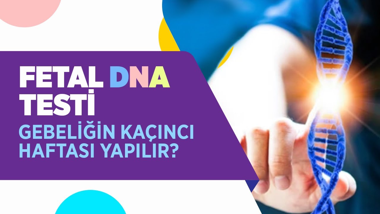 Fetal DNA Nedir, Neden Yapılır? Fetal DNA Testi Nasıl Yapılır? - Doçent Doktor Nermin Köşüş