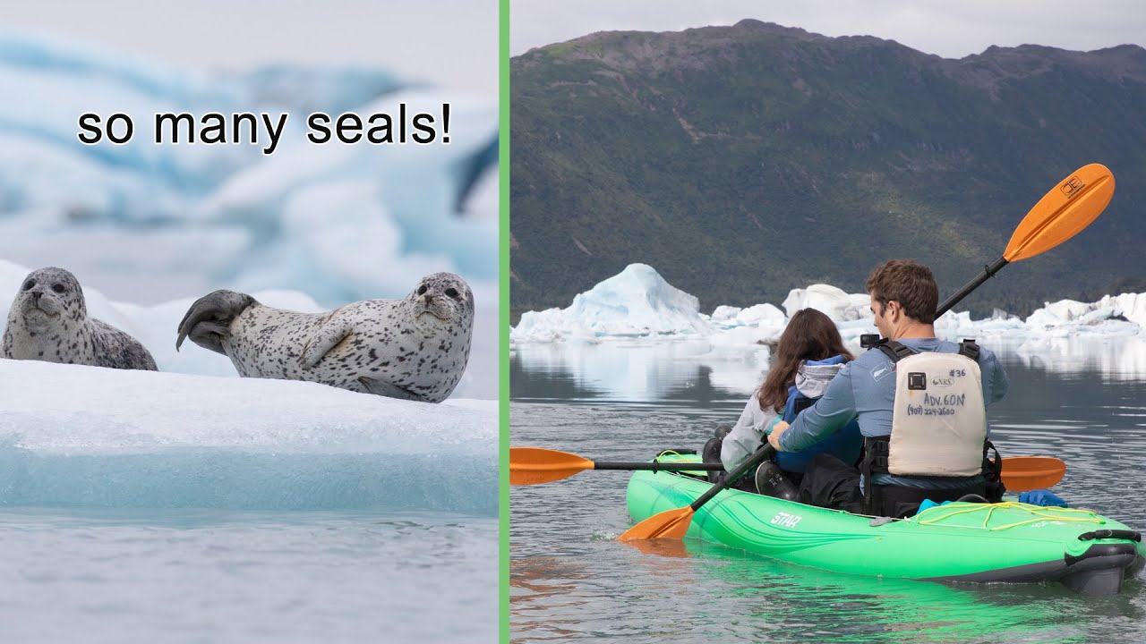 Kayaking Through Icebergs to Bear Glacier! | Seward, Alaska (Kenai Fjords National Park)