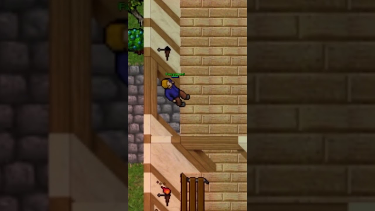 POWR&Oacute;T STAREJ DOREJ TIBII #tibia #gaming #gorgogaming #gorgo #gry #treasura