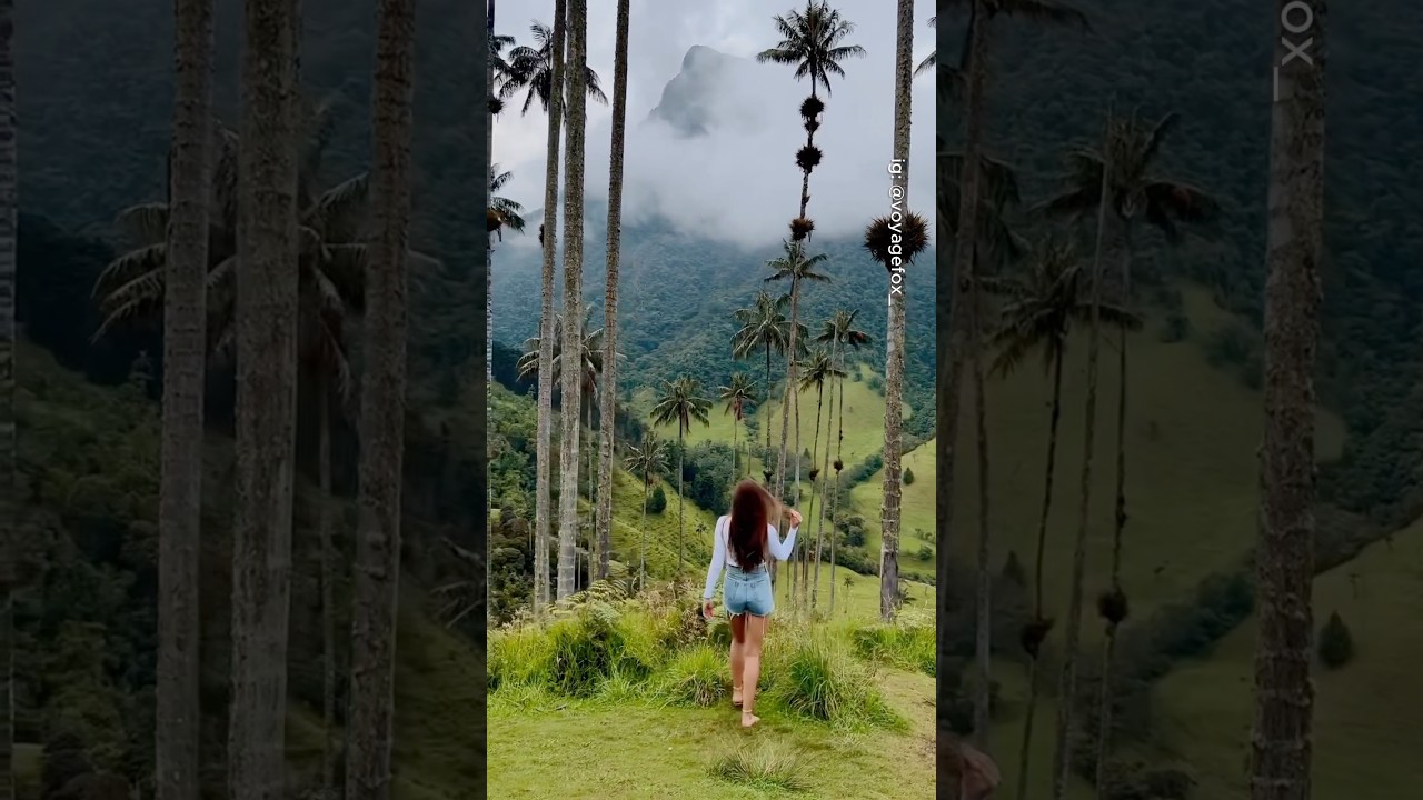 Most beautiful places in Colombia 🇨🇴🤯 #travel #adventure #explore #nature #colombia