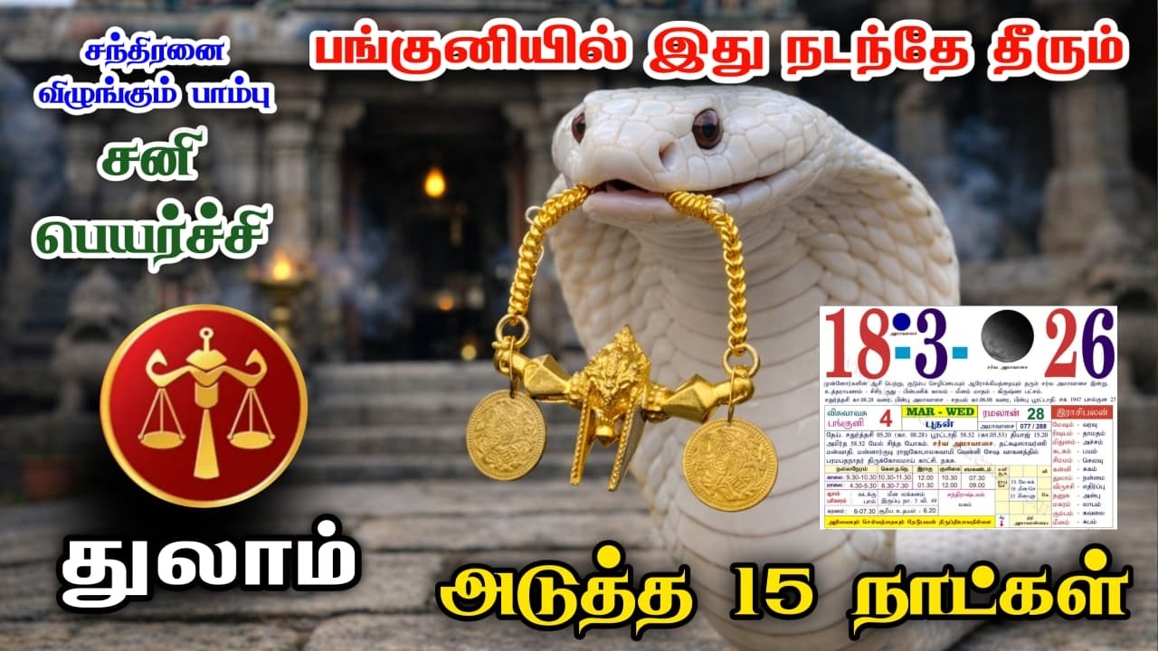 துலாம் ! சித்தர் எச்சரிக்கை ! சூழ்ச்சி வலை ! 15 நாளில் மாற்றம் நிச்சயம் ! thulam 2026 !