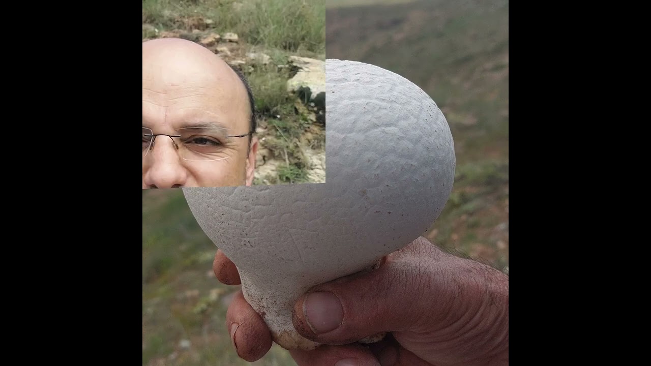 Konya Bozkır Söğüt Perşembe yaylası 2023 yaz gezisi