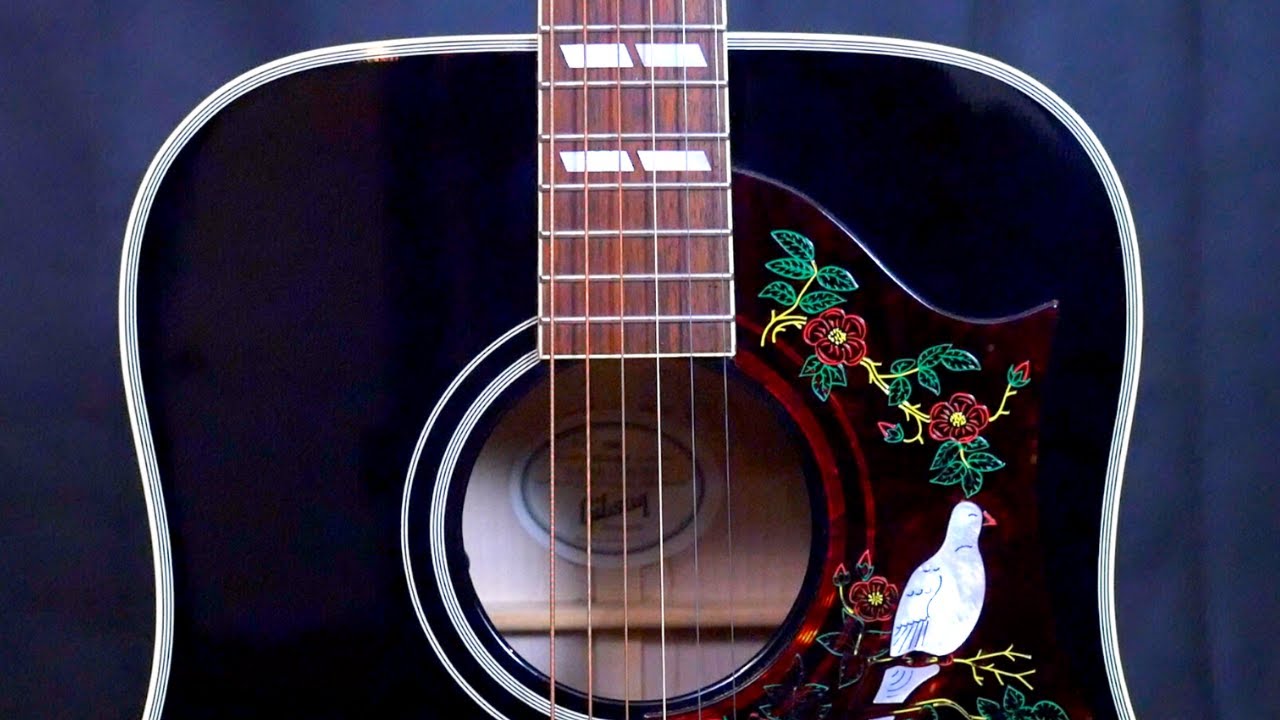 What's Up with the Gibson Dove? | 2011 Gibson Ebony Dove Review + Demo