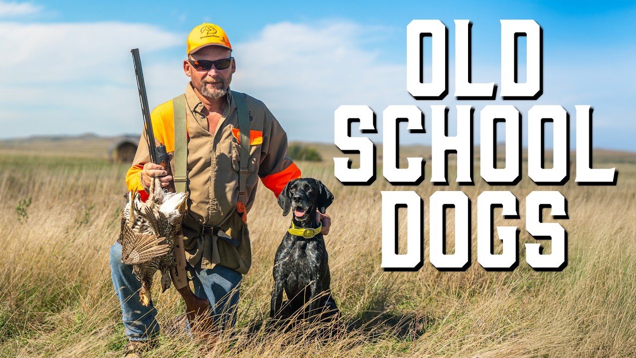 202.  The Evolution Of Raising & Training Bird Dogs