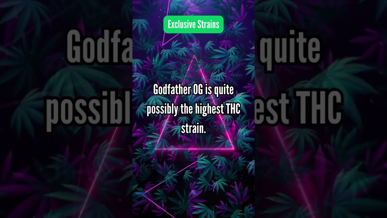 Godfather OG Unveiled: Is This the Holy Grail of Cannabis⁉️🌿💎