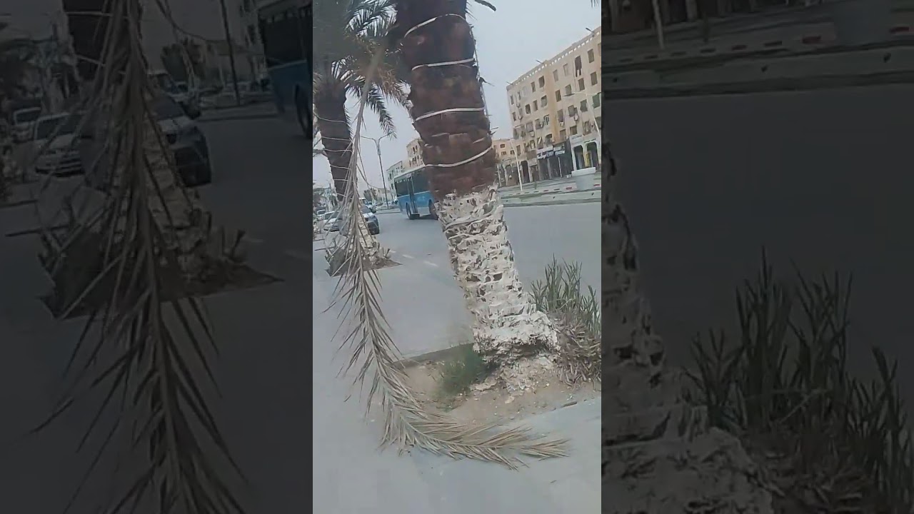 La ville algérienne de Biskra.