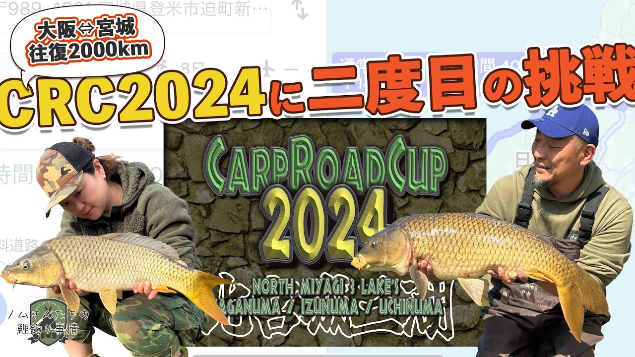 【鯉釣り】一番重い鯉を釣り上げろ！リアル鯉釣り大会CRC2024行ってきましたレポ 大阪から宮城へ往復2000km超の遠征チャレンジ! #carpfishing #carproadcup2024