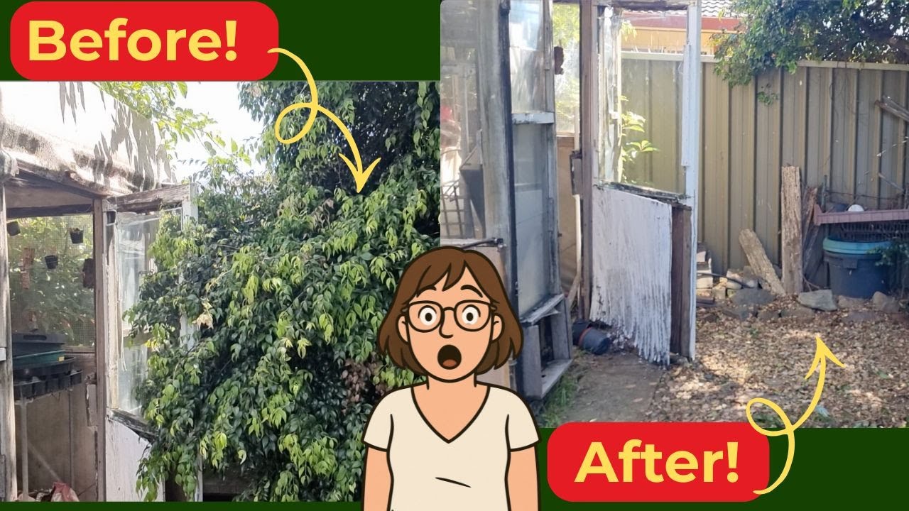 Abandoned No More!