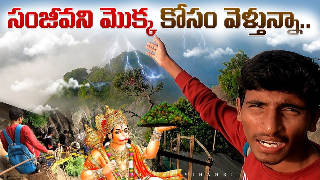చనిపోయిన మనుషులను బ్రతికించే సంజీవని మొక్క ఇప్పటి ఆ కొండ మీద ఉందా! లేదా!🕉️🙏