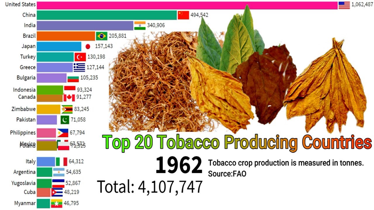 Top 20 Tobacco Producing Countries || Top 20 Tobacco Production Countries ||