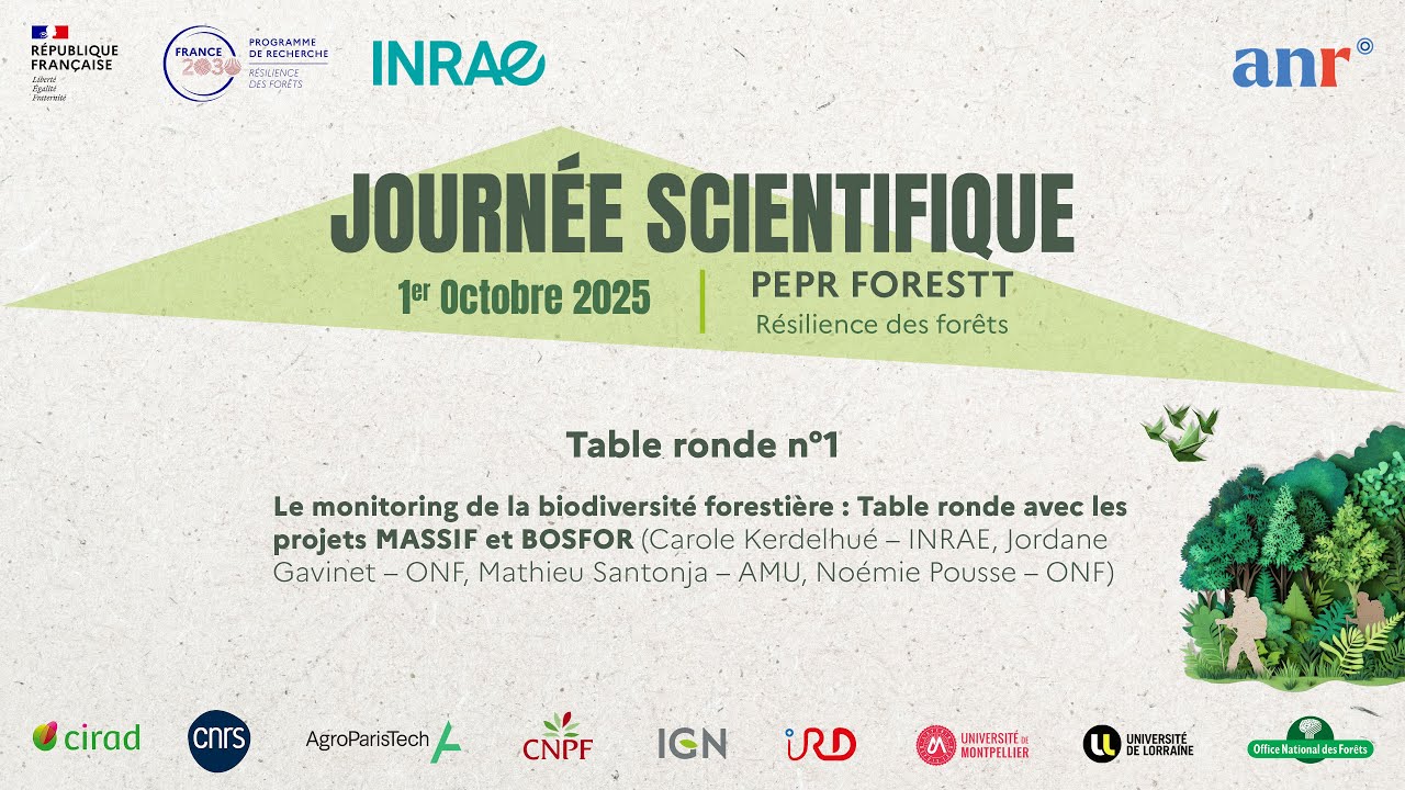 Journée scientifique 2025 du PEPR FORESTT - Table ronde MASSIF & BOSFOR