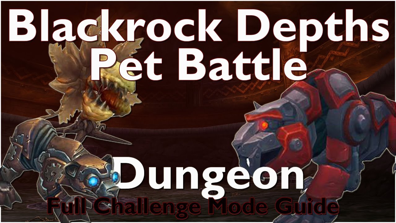 Blackrock Depths Pet Battle Dungeon Challenge Mode Guide