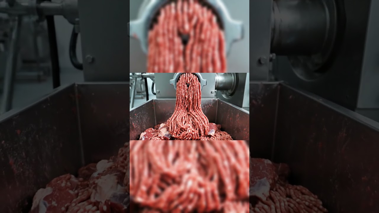 Inside the Donkey Cheese Factory: From Fresh Donkey