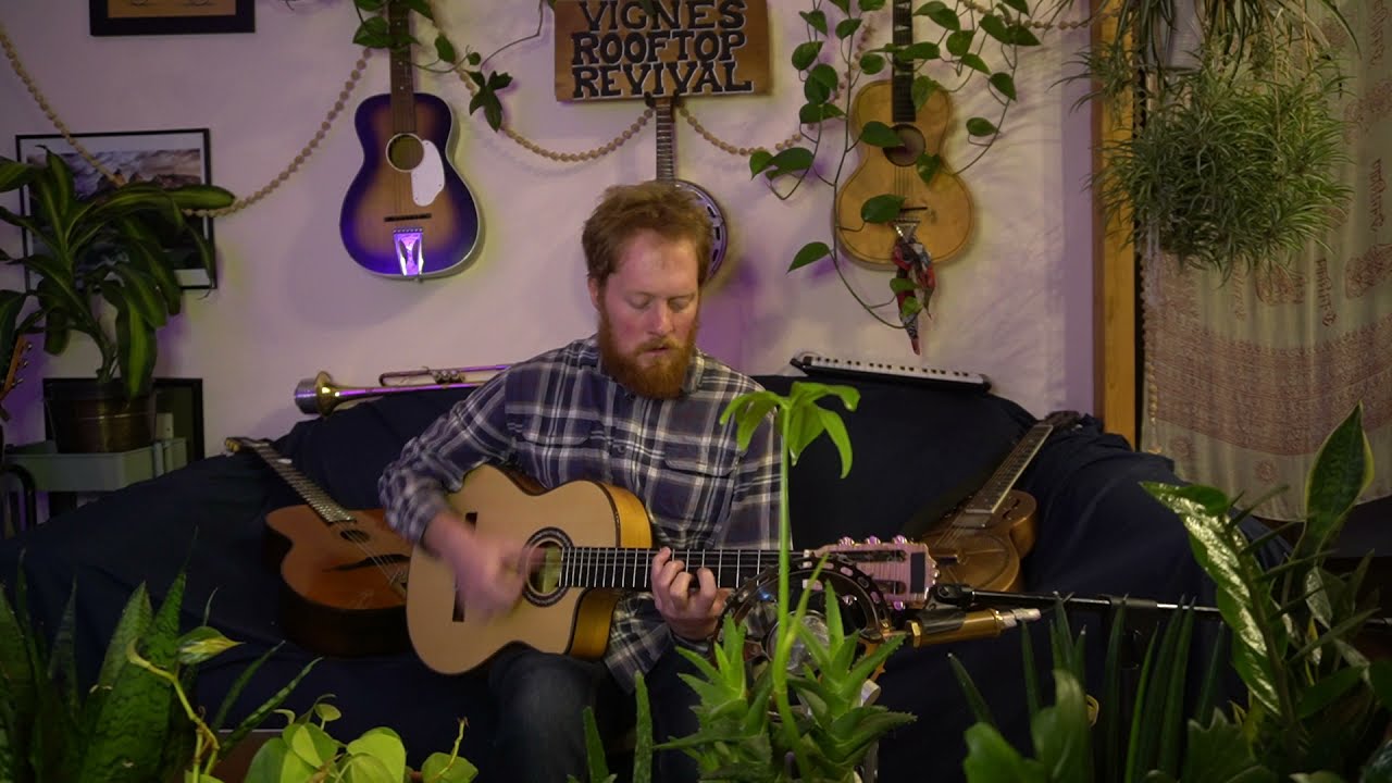 I'll See You In My Dreams (old 1920s jazz song) -- solo guitar, vocals, & whistle