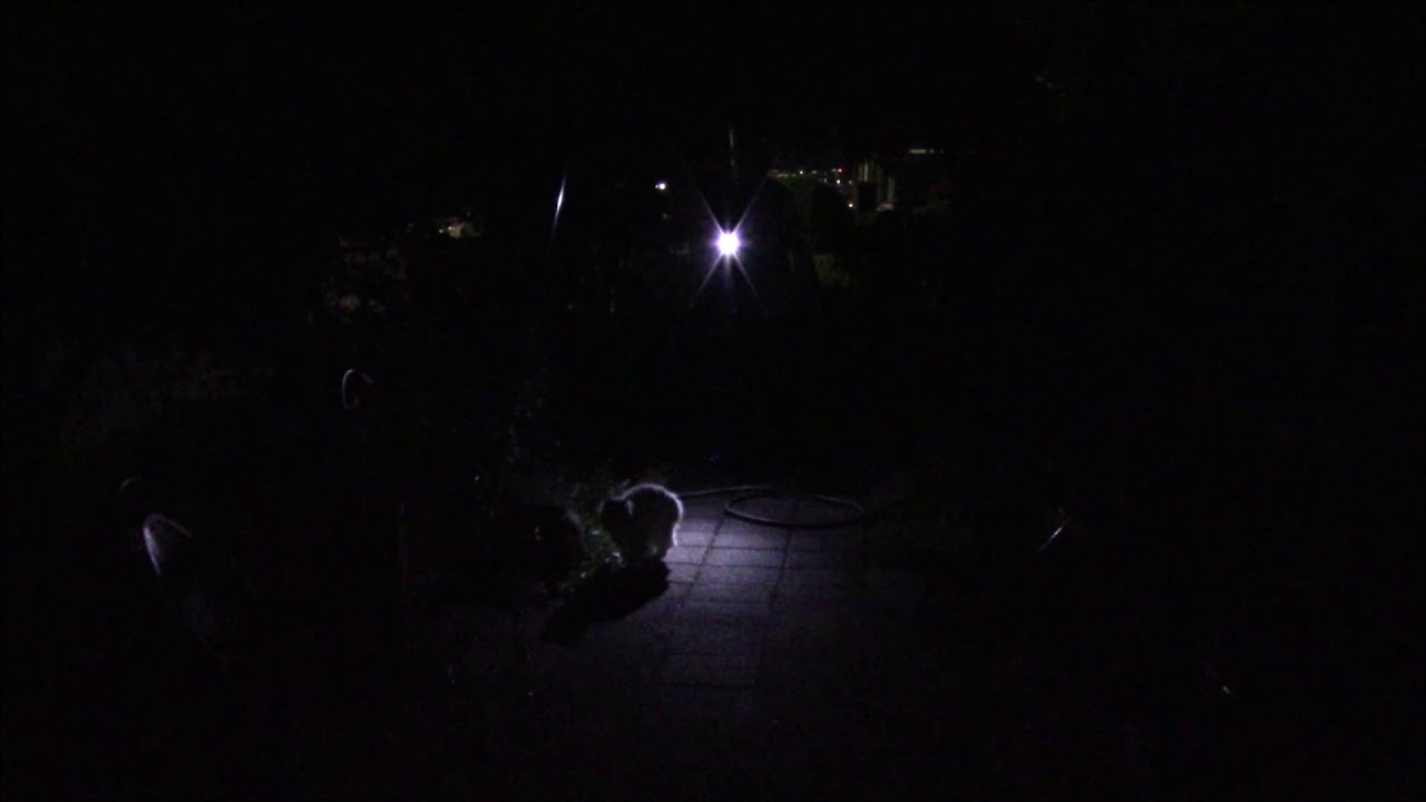 Fulton MX-991/U anglehead color lenses at night