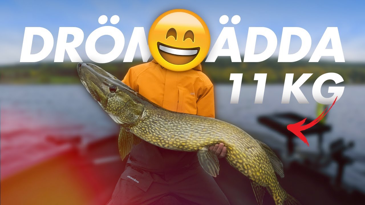 DR&Ouml;MG&Auml;DDA P&Aring; HEMMAVATTNET 11 KG 🐷 &ndash; VLOG&sup2;