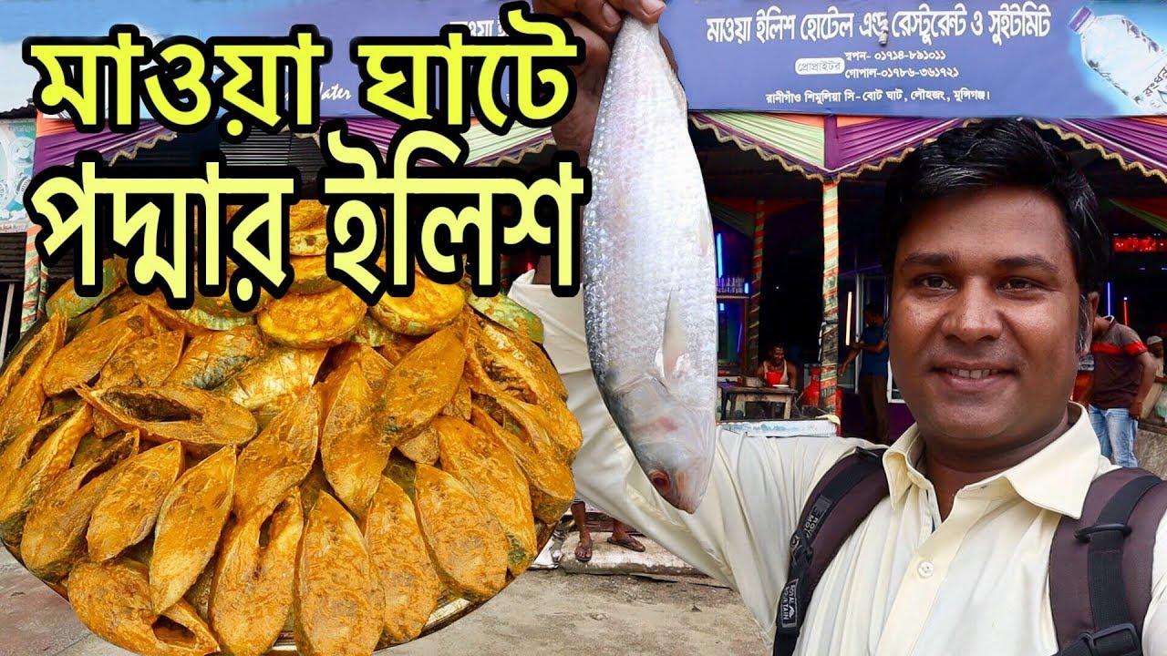 পদ্মার সুস্বাদু ইলিশ খেতে মাওয়া ঘাটে || Eating Hilsa Fish in Mawa Ghat