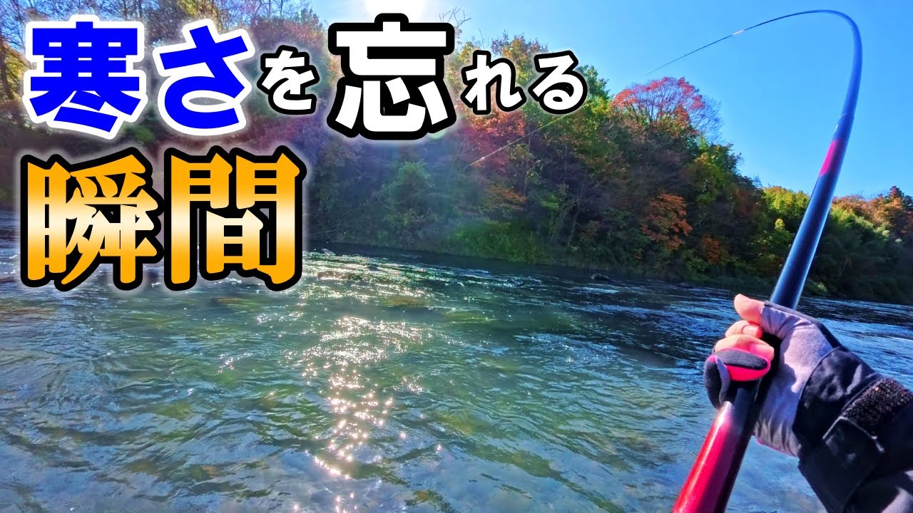 寒風の中、待ち続けた価値ある渓魚。11月下旬【吾妻川】