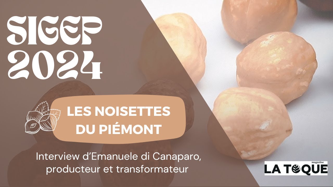 La production de noisettes du Piémont : particularités, goût et histoire