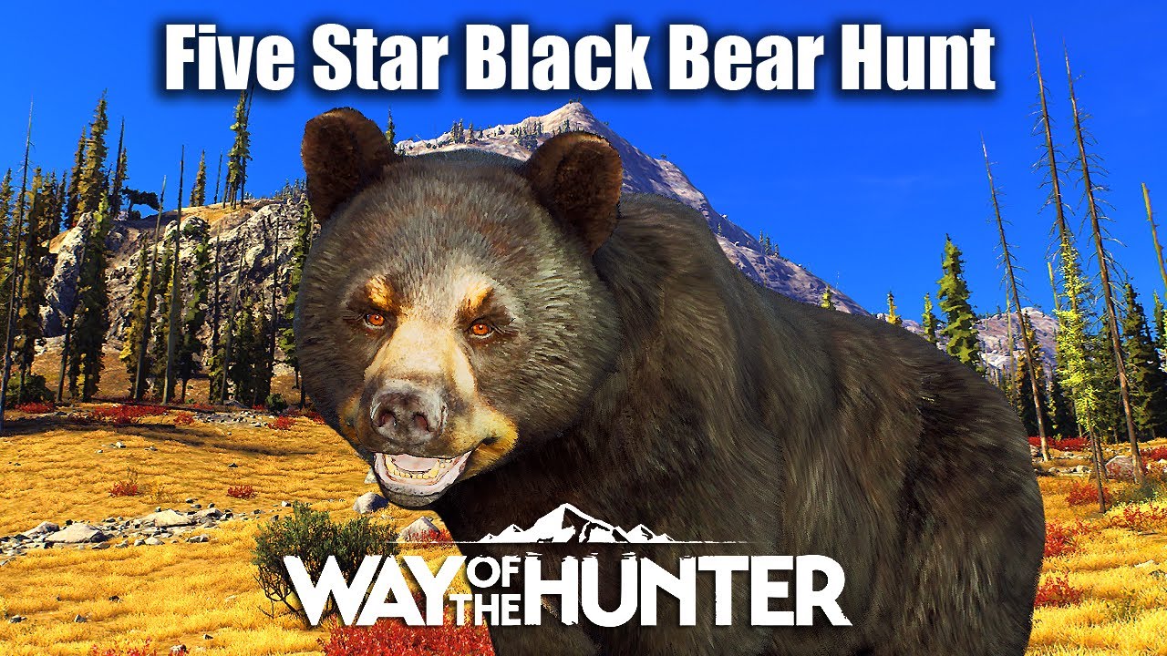 Way Of The Hunter - 5 Star Black Bear Hunt