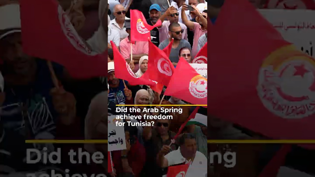 Activists decry state of Tunisia&rsquo;s democracy, 15 years after Arab Spring | AJ #shorts