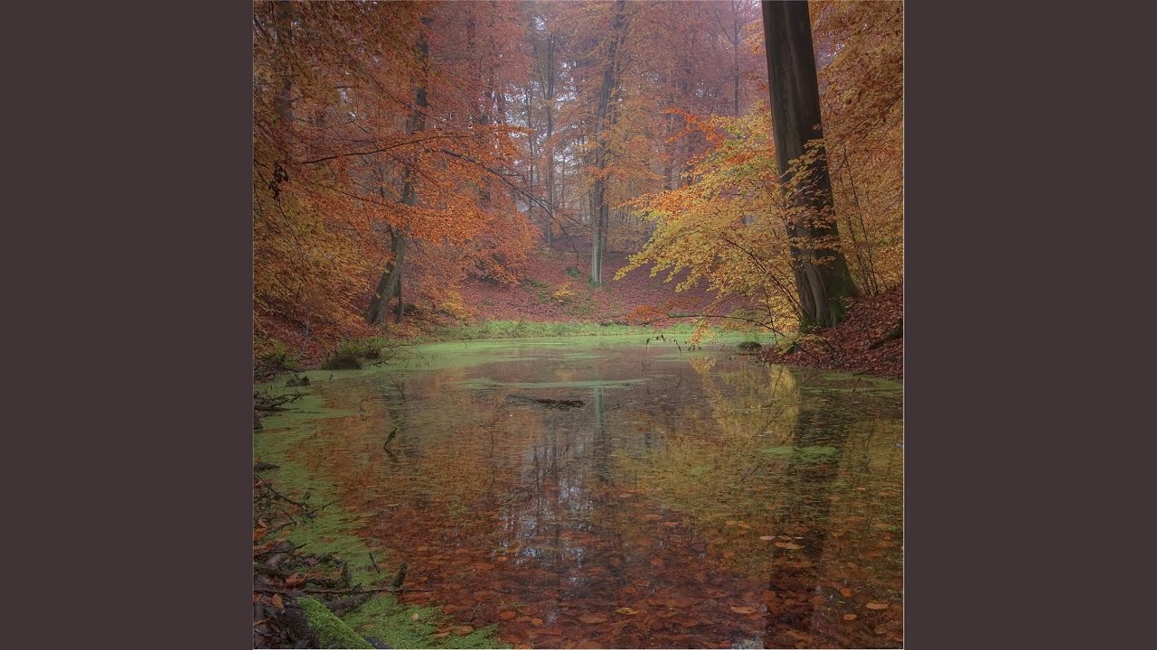 Autumn Rain