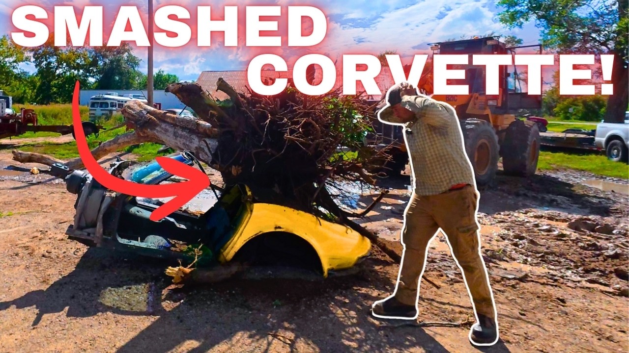 Я уронил ДЕРЕВО на Corvette клиента!!!