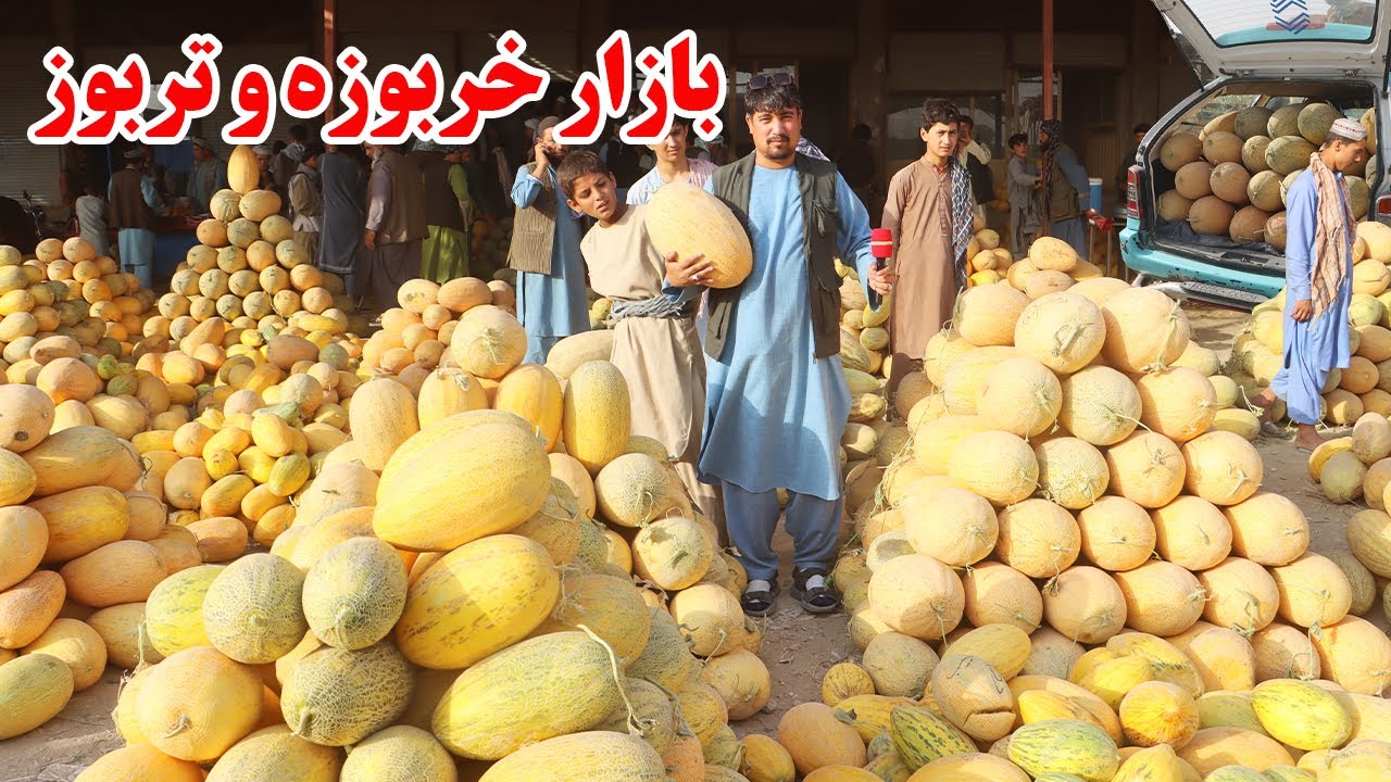گزارش افغان تاپ، لیلام،بازار خربوزه و تربوز،حاصلات دهاقین،شیرین ترین خربوزه،گپ دل دهاقینafghan top