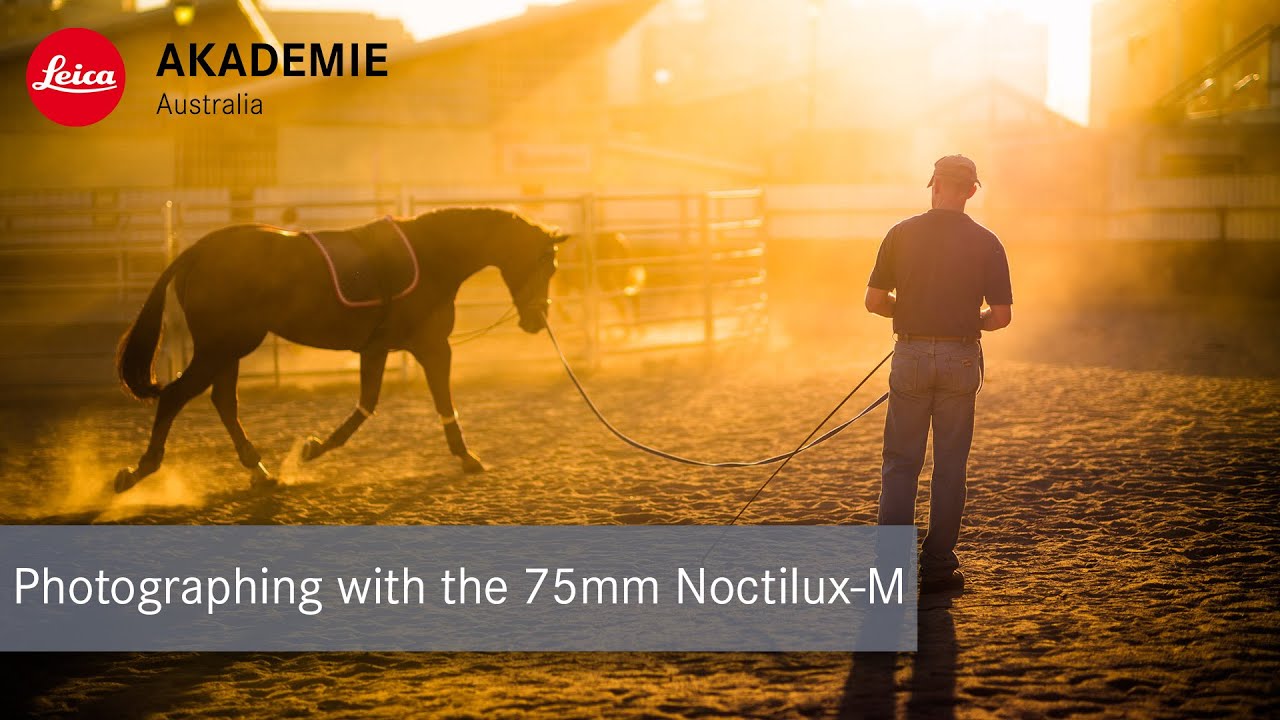 Photographing with the Leica 75mm Noctilux-M