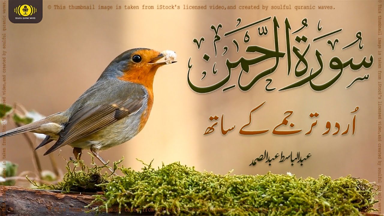 🔴 Surah Rahman Urdu Tarjuma k Sath | Qari Al Sheikh Abdul Basit Abdul Samad | Soulful Quranic Waves