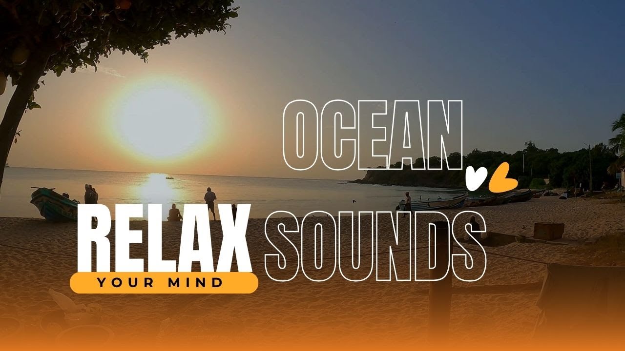 Early Morning Ocean Fishing | Peaceful Beach Sounds & Natural Life and Relaxing