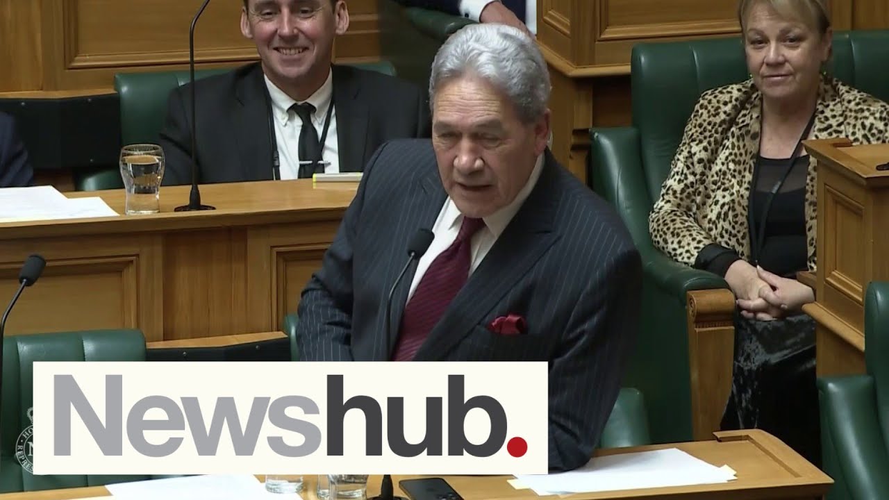 'Bigoted lefty', 'colonesian': Insults fly in Parliament with Peters in hot seat | Newshub